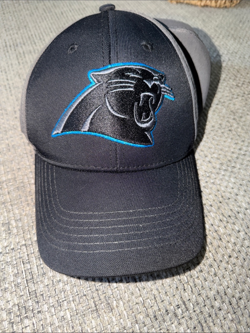 NFL Black and Gray Carolina Panthers Embroidered Logo Hat